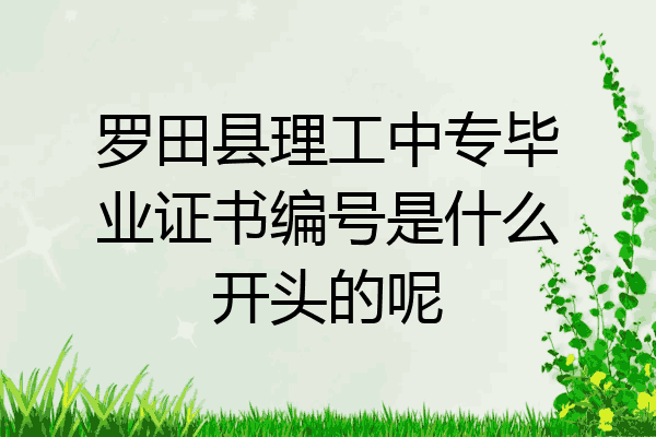 罗田县理工中专毕业证书编号是什么开头的呢