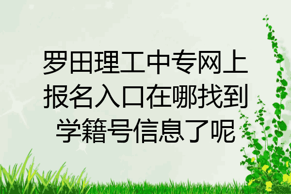 罗田理工中专网上报名入口在哪找到学籍号信息了呢