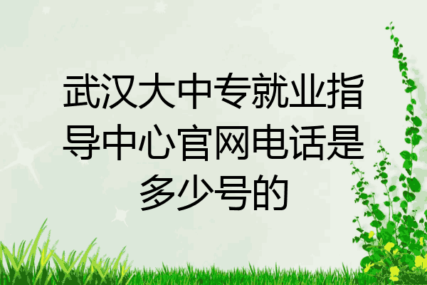 武汉大中专就业指导中心官网电话是多少号的
