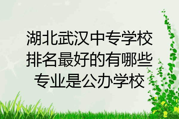 湖北武汉中专学校排名最好的有哪些专业是公办学校