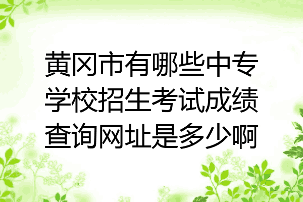 黄冈市有哪些中专学校招生考试成绩查询网址是多少啊