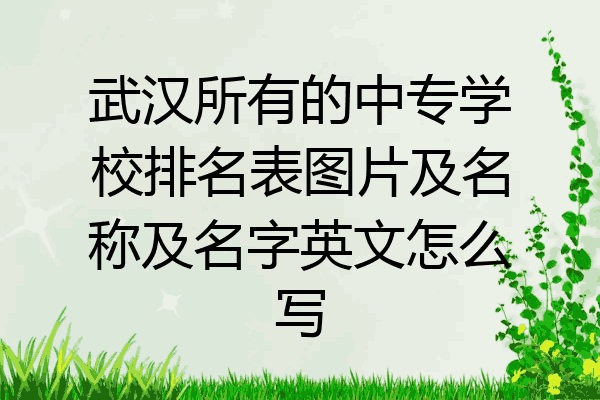 武汉所有的中专学校排名表图片及名称及名字英文怎么写