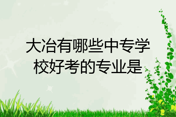 大冶有哪些中专学校好考的专业是