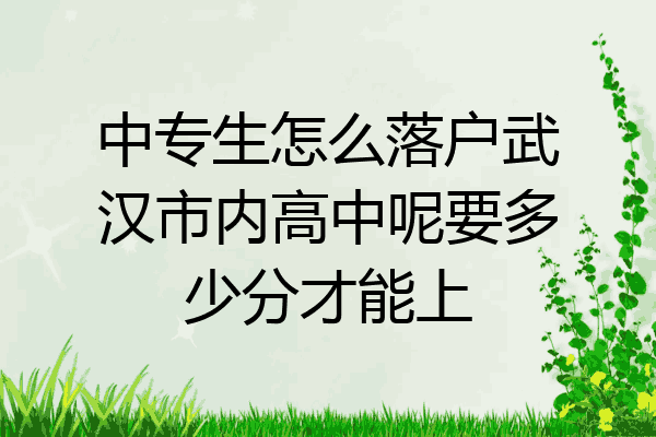 中专生怎么落户武汉市内高中呢要多少分才能上