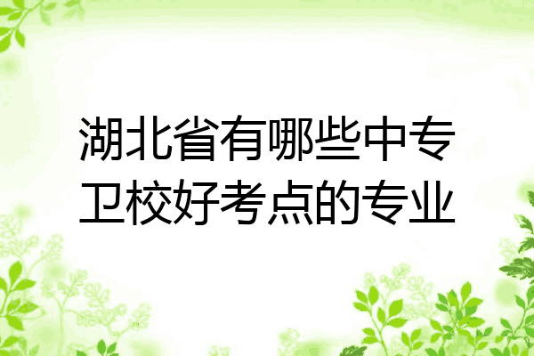 湖北省有哪些中专卫校好考点的专业