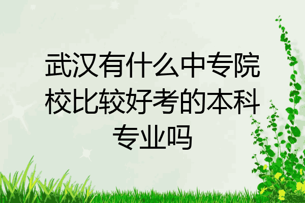 武汉有什么中专院校比较好考的本科专业吗