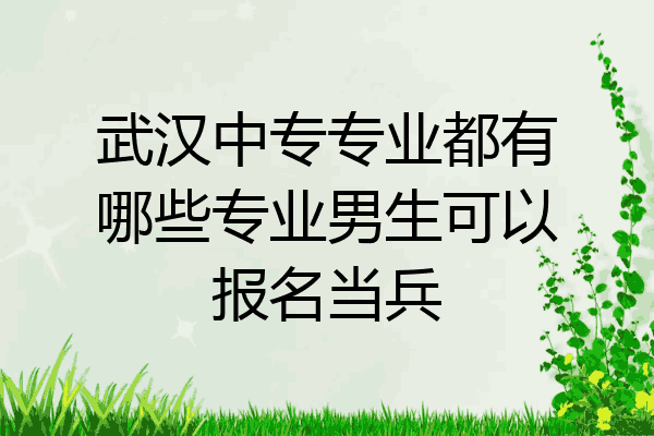 武汉中专专业都有哪些专业男生可以报名当兵