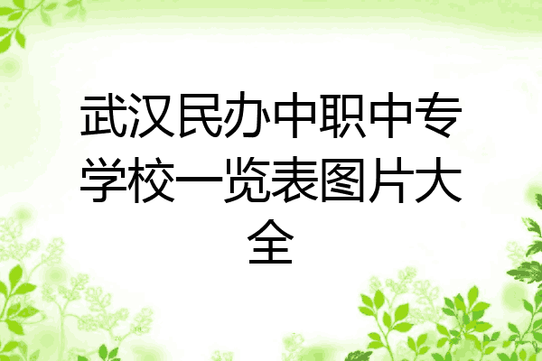 武汉民办中职中专学校一览表图片大全