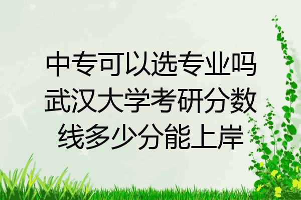 中专可以选专业吗武汉大学考研分数线多少分能上岸