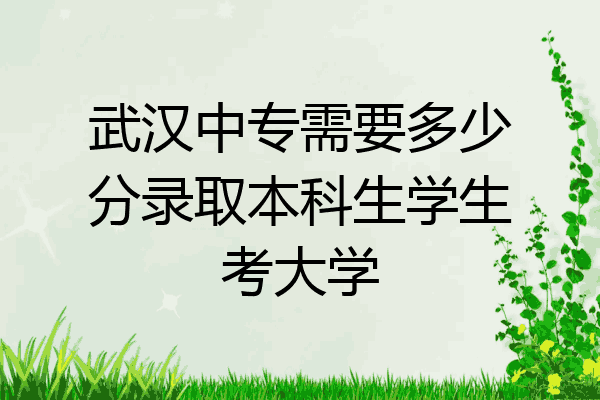 武汉中专需要多少分录取本科生学生考大学