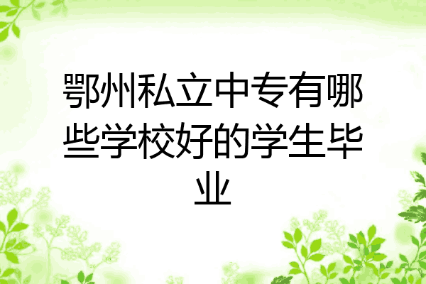 鄂州私立中专有哪些学校好的学生毕业