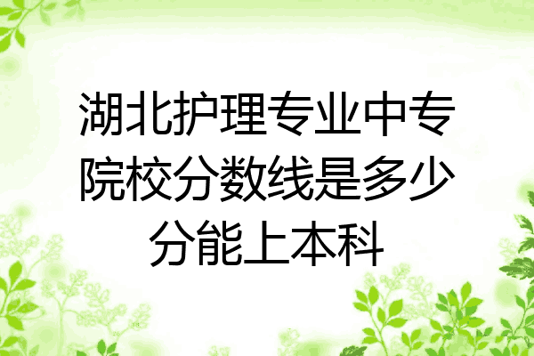湖北护理专业中专院校分数线是多少分能上本科