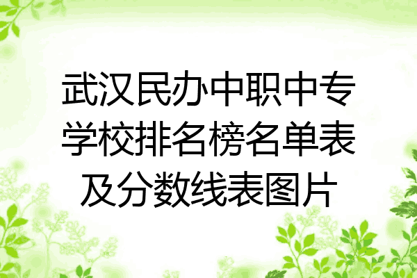 武汉民办中职中专学校排名榜名单表及分数线表图片