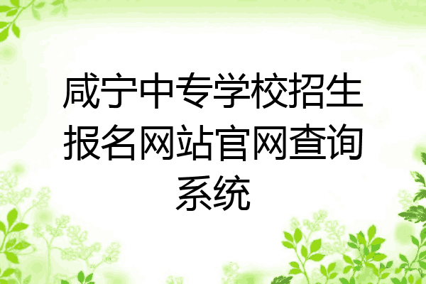 咸宁中专学校招生报名网站官网查询系统