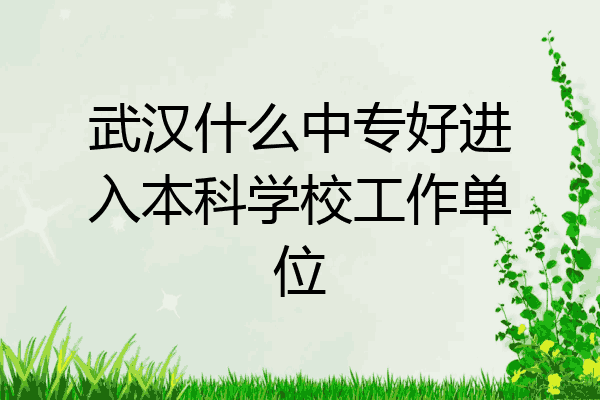 武汉什么中专好进入本科学校工作单位