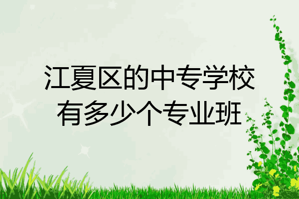 江夏区的中专学校有多少个专业班