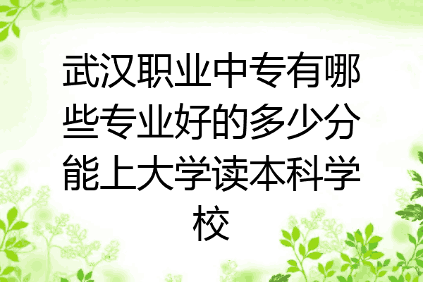 武汉职业中专有哪些专业好的多少分能上大学读本科学校