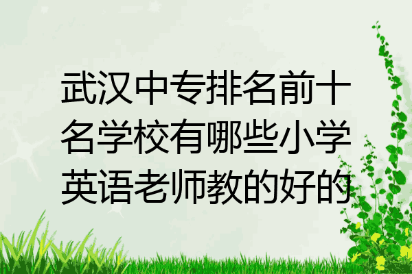 武汉中专排名前十名学校有哪些小学英语老师教的好的
