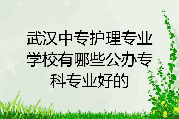 武汉中专护理专业学校有哪些公办专科专业好的