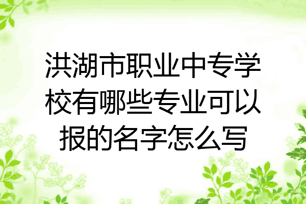 洪湖市职业中专学校有哪些专业可以报的名字怎么写