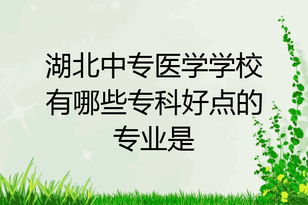 湖北中专医学学校有哪些专科好点的专业是