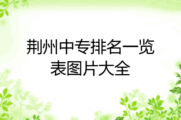 荆州中专排名一览表图片大全