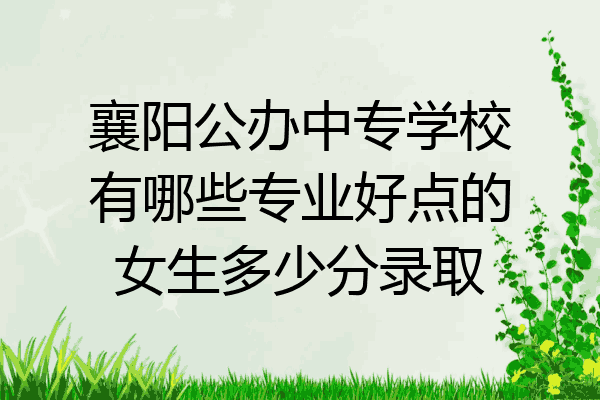 襄阳公办中专学校有哪些专业好点的女生多少分录取