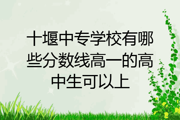 十堰中专学校有哪些分数线高一的高中生可以上