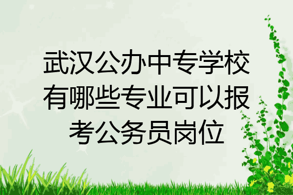 武汉公办中专学校有哪些专业可以报考公务员岗位