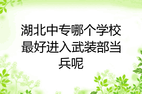 湖北中专哪个学校最好进入武装部当兵呢