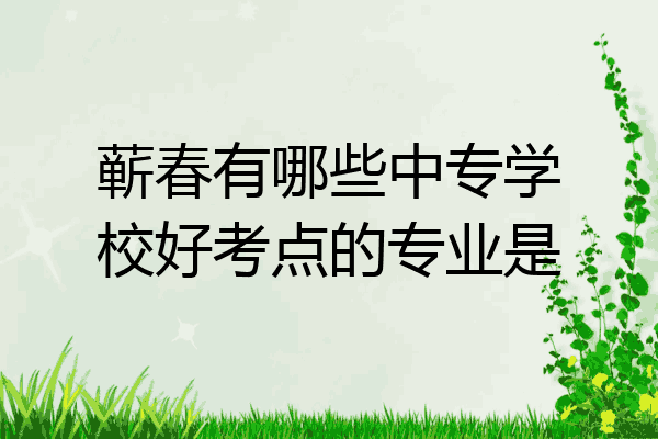 蕲春有哪些中专学校好考点的专业是