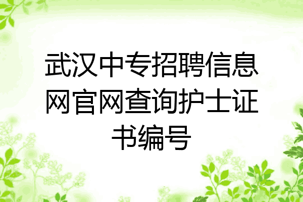 武汉中专招聘信息网官网查询护士证书编号