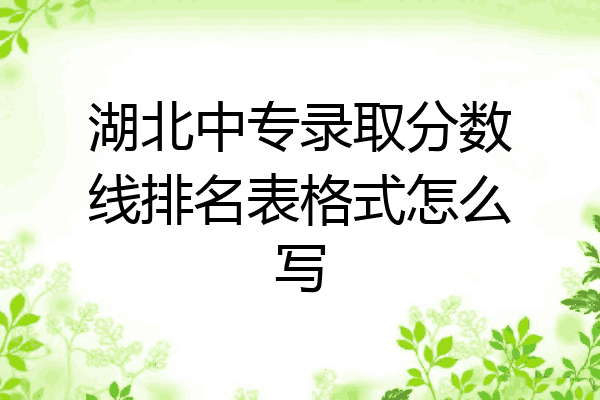 湖北中专录取分数线排名表格式怎么写