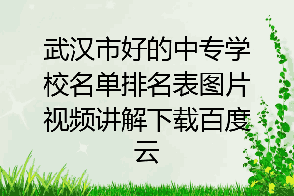 武汉市好的中专学校名单排名表图片视频讲解下载百度云