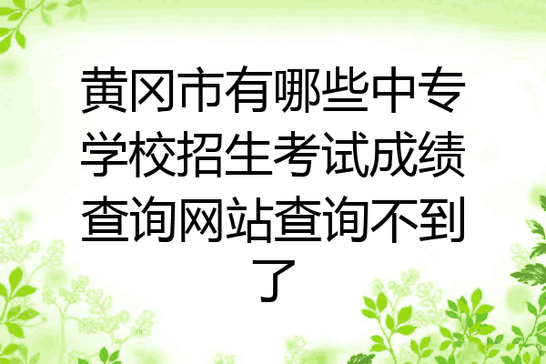 黄冈市有哪些中专学校招生考试成绩查询网站查询不到了