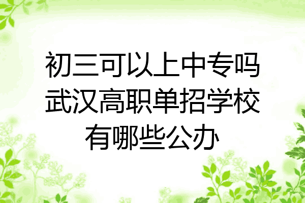 初三可以上中专吗武汉高职单招学校有哪些公办