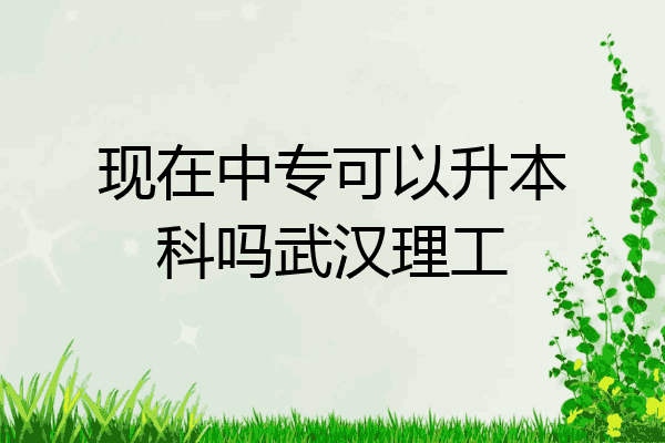 现在中专可以升本科吗武汉理工