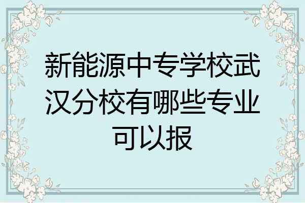 新能源中专学校武汉分校有哪些专业可以报