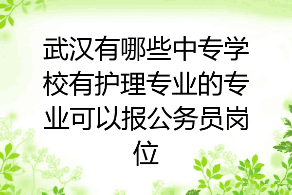 武汉有哪些中专学校有护理专业的专业可以报公务员岗位