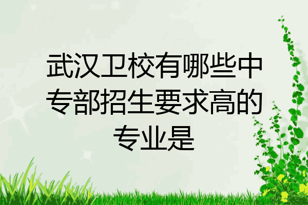 武汉卫校有哪些中专部招生要求高的专业是