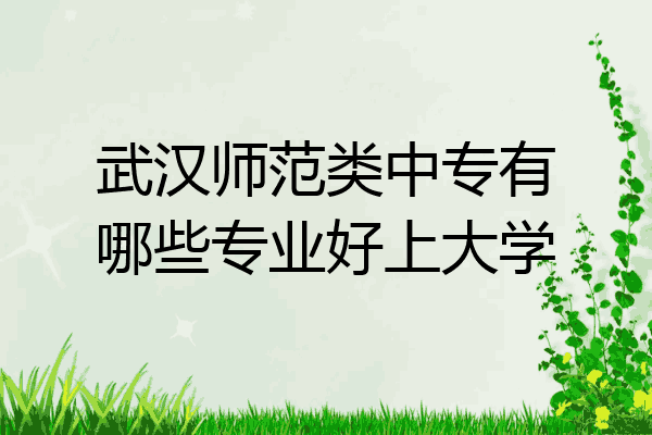 武汉师范类中专有哪些专业好上大学