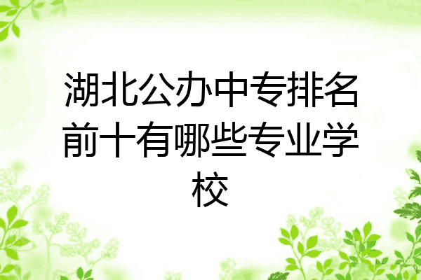 湖北公办中专排名前十有哪些专业学校
