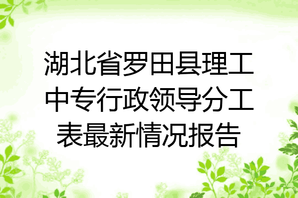 湖北省罗田县理工中专行政领导分工表最新情况报告