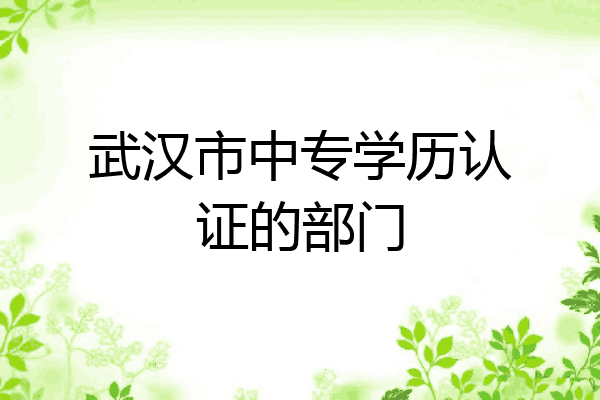武汉市中专学历认证的部门