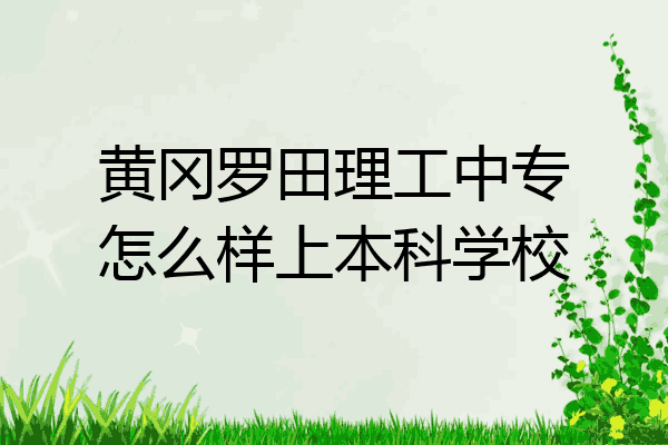 黄冈罗田理工中专怎么样上本科学校