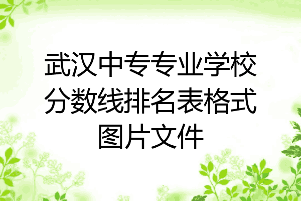 武汉中专专业学校分数线排名表格式图片文件