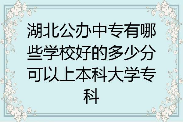湖北公办中专有哪些学校好的多少分可以上本科大学专科