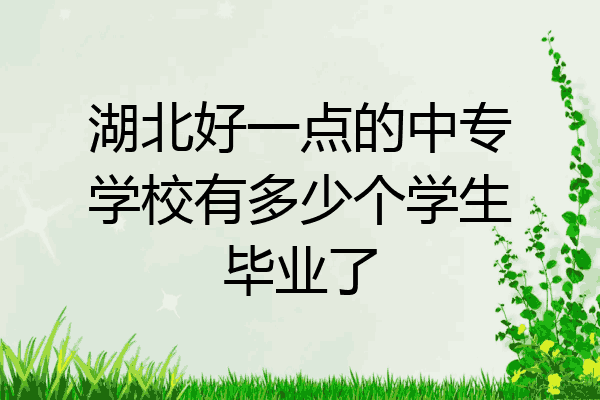 湖北好一点的中专学校有多少个学生毕业了
