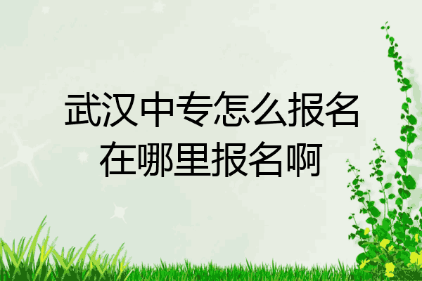 武汉中专怎么报名在哪里报名啊
