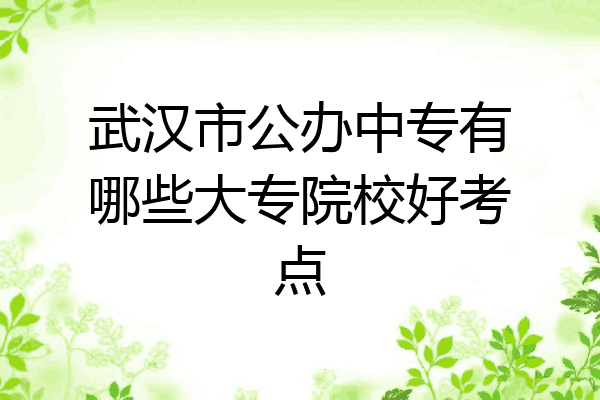 武汉市公办中专有哪些大专院校好考点